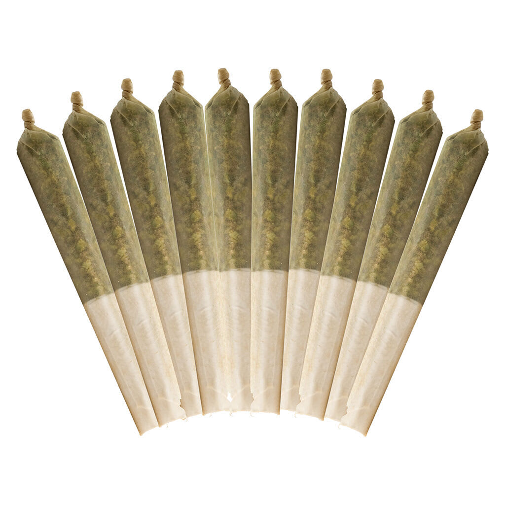 BUDDY BLOOMS Purple Haze Pre-Roll 10x0.5g